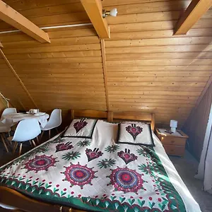 Willa Anna Apartament Zakopane